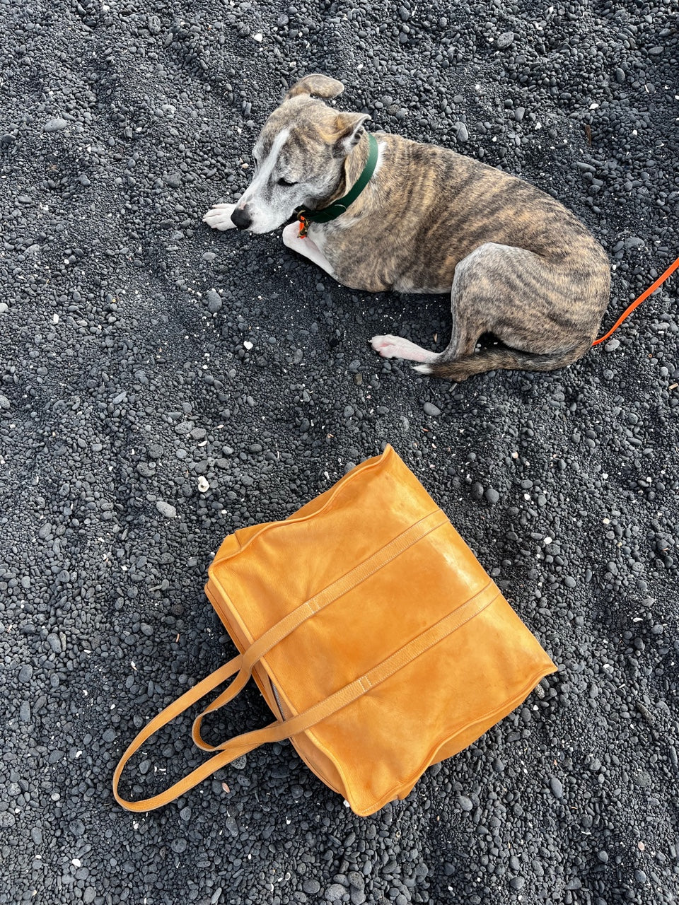 PB 1 Shopper/Weekender Black